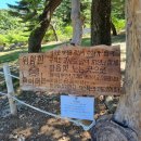 치화목장 이미지