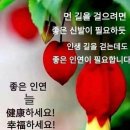 빛나는하루 이미지