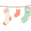 루이 펫 살롱 이미지