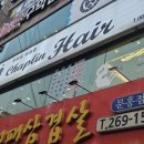 헤어 채플린