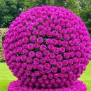 @@@@@ 장동혁이 걸어온 길 @@@@@ 이미지