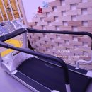 영재오 운동지능센터 이미지