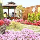 서구청 옥상생태공원 이미지