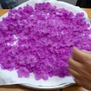 꽃차&약선차 이미지