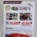 해초과메기대구장기점 | [해초과메기] 대구1호 장기점에서 해초과메기 포장 후기~!