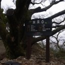 송학동-11 이미지