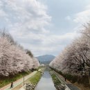 유량1교 이미지