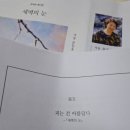 불을 달리다 이미지