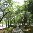 부천수주초 이미지