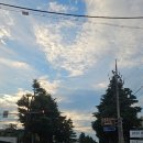 강림약국 이미지