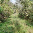 철주농장 이미지