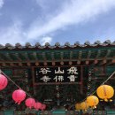 부처님 오신 날 | 해장사 | 불곡사 | 봉림사 | 위치 | 공양시간