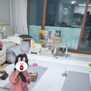 한성악기 이미지
