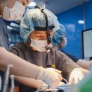 라라동물의료원 이미지