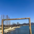 마루터목장 | 양평 두물머리 수제 젤라또 맛집 델레떼 내돈내산 후기