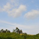 영화마을 이미지