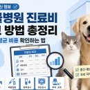 재진2농장 | 2026 동물병원 진료비 비교 방법 총정리 (지역별 평균 비용 확인하는 법)