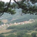 형제사슴목장 이미지