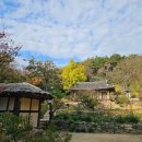 비밀정원 이미지