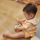꼬마나라어린이집 | 2026 롯데백화점 상인점 문화센터 여름학기 프리미엄 배꼽친구 베이비 소꼽놀이 9-15개월 후기
