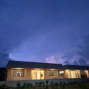 자파리203 이미지