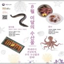 장어랑문어랑
