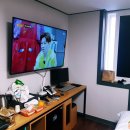 미러텔 이미지