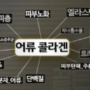 (주)헬로팜 이미지