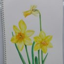 춘의동주민센터 이미지