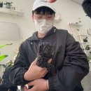 소소한가든Flower&Studio