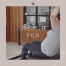 씨제이올리브영(주)동탄능동점 | 임산부 3:1 그룹 필라테스