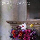 앤티크블룸압구정꽃집