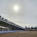 엑스포과학공원 | 1일 11시 11분 11초 대전 선양 맨몸마라톤 7km러닝 대전 엑스포 과학공원 물빛광장 아이와 참가 완주 후기