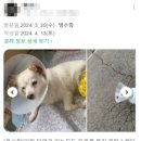 하나로 동물병원 이미지