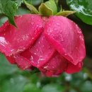 6월 21일 토요일 간추린 뉴스와 날씨 이미지