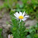 인제04-3 이미지