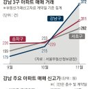 강남-233 서울신문