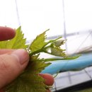 도순농장 이미지