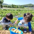 예일농장 네이버블로그