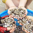 고동