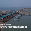 오이도어촌체험휴양마을 | 오이도 어촌체험마을 개장! 갯벌체험 예약 및 물때 확인 방법 (아이와 가볼만한곳)