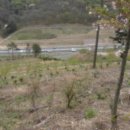 석전동161 이미지