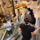 옐로우씨 | 더현대 대구 씨스프레이 팝업 평일 오픈런 / 웨이팅 후기 🐳