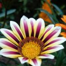 진남체육공원 실내체육관 이미지