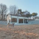 대촌농장 | 충남 당진 반려견 독채펜션 파머스데이 / 밤토리 1일차 방문후기