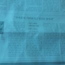 힐링 선 이미지