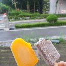 송호돼지국밥 | 억까가 난무하는 7월 일상