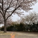 문라이트캠핑장 이미지