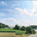 보통3리 마을회관 이미지