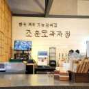 봄날과자점 | 순천 빵집 조훈모 과자점 죽도봉점 현지인 맛집 베이커리 카페 전메뉴 사진